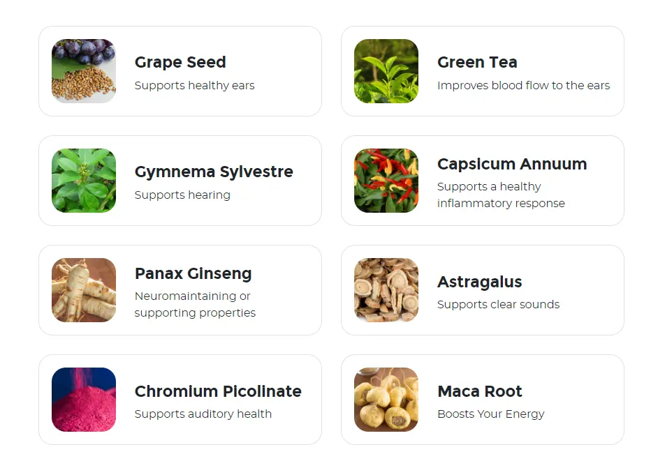 zencortex ingredients